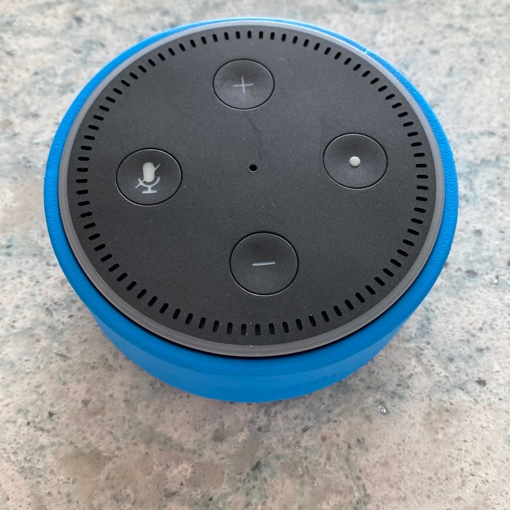Alexa kids blue! No charger w it but a common port so should be easy to find!